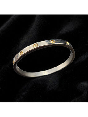 Stainless Steel Two-Tone Bangle Bracelet Gold Screw Motif Hinged Cuff Modern